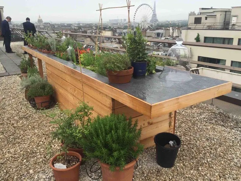 Bacs potagers en iroko à plateau de zinc installés sur un toit-terrasse parisien